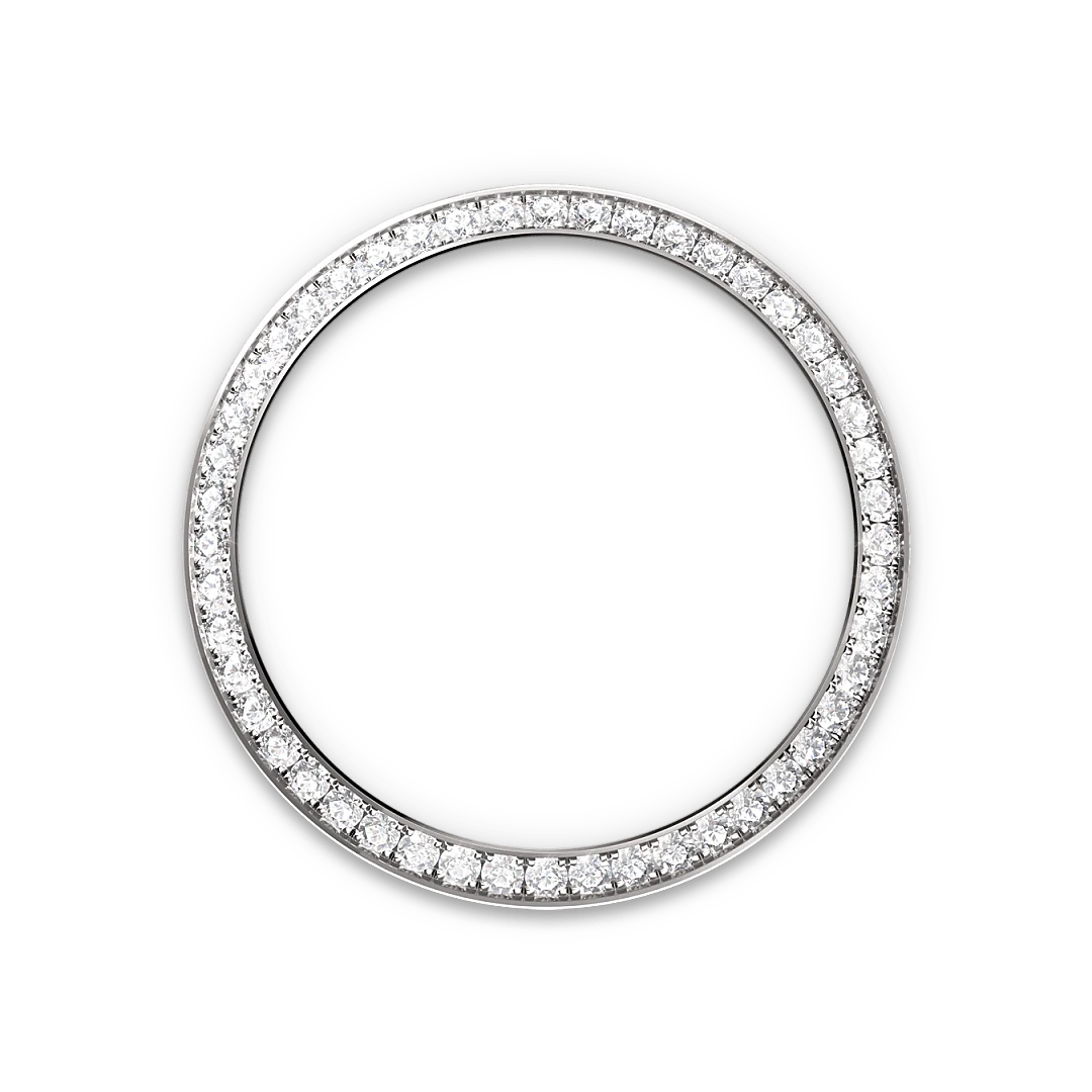 Day-Date 40 Watches