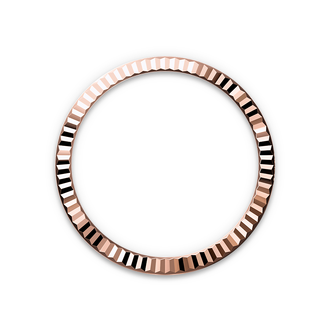 Datejust 31 Watches