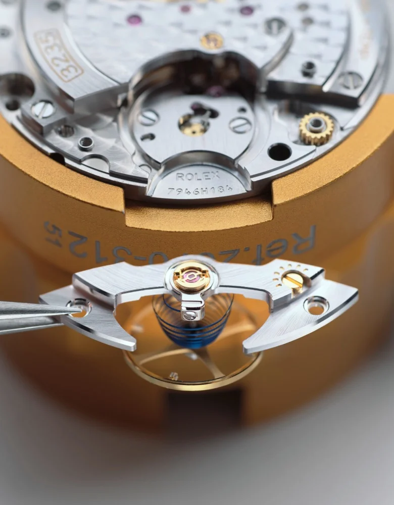Rolex watch servicing procedure
