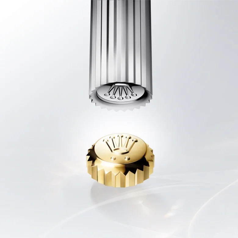 rolex watchmaking know-how - Michaud