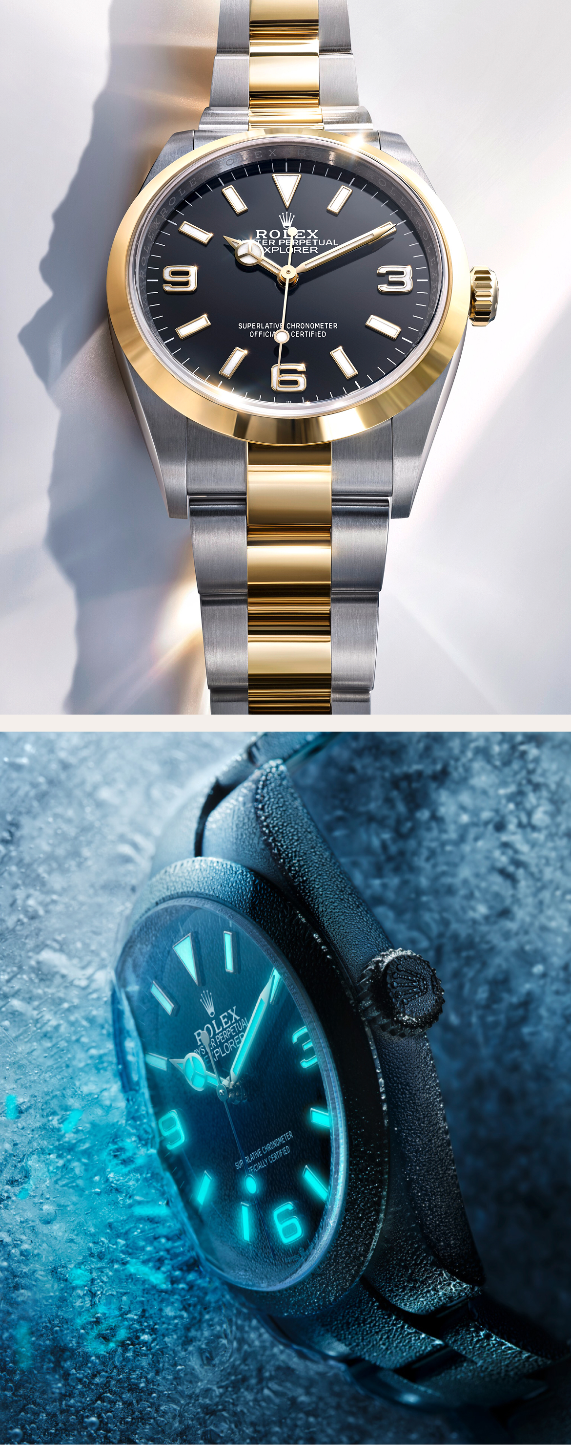 rolex explorer watches - Michaud