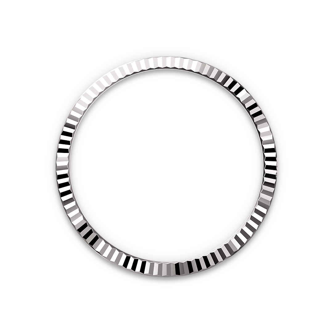 rolex Datejust 36 in White Rolesor - combination of Oystersteel and white gold M126234-0021* - Michaud