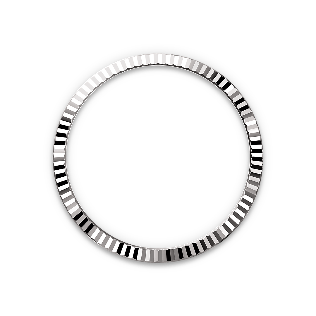 rolex Datejust 36 in White Rolesor - combination of Oystersteel and white gold M126234-0027* - Michaud