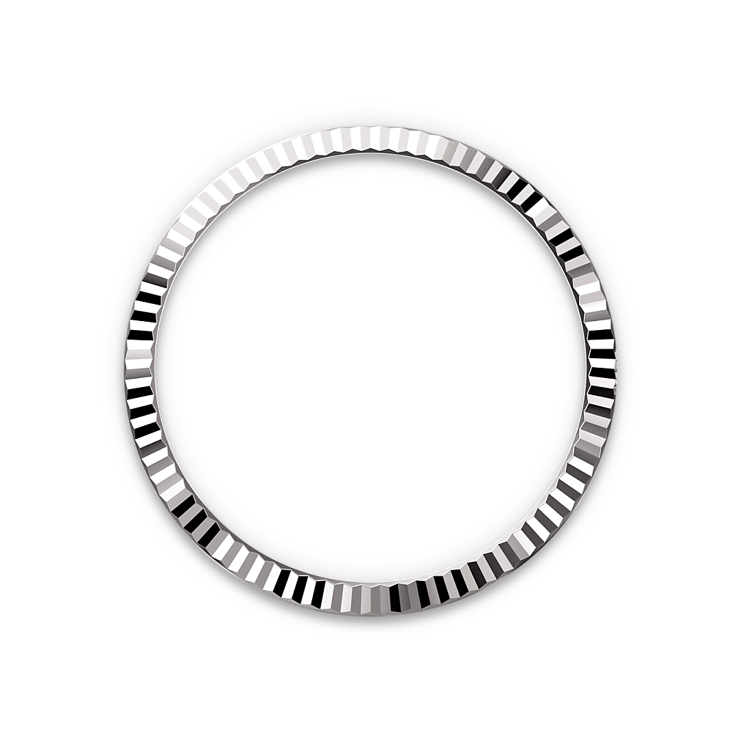 rolex Datejust 36 in White Rolesor - combination of Oystersteel and white gold M126234-0037* - Michaud