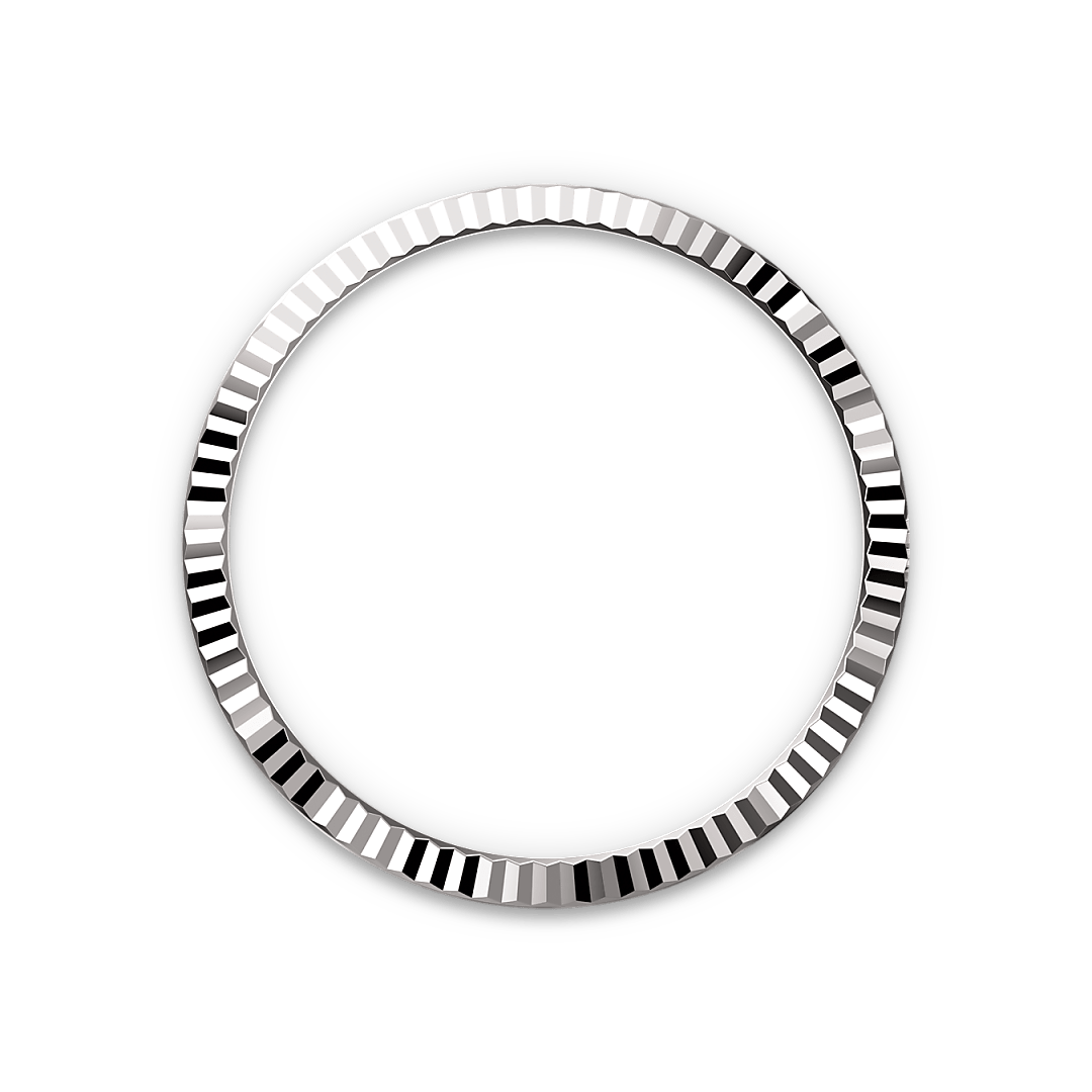 rolex Datejust 36 in White Rolesor - combination of Oystersteel and white gold M126234-0051* - Michaud