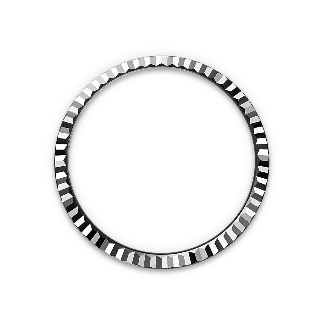 Land-Dweller 36 Watches
