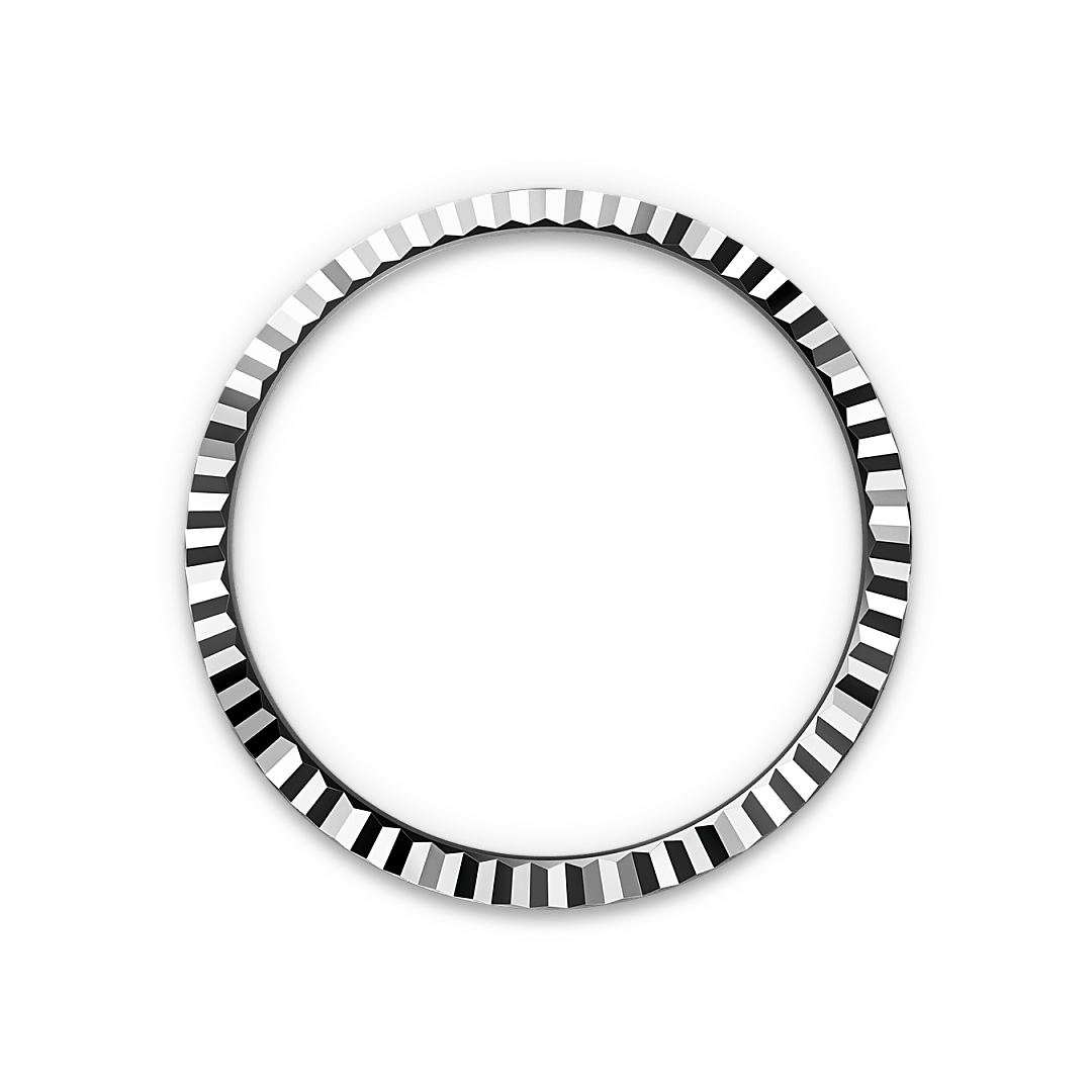 Land-Dweller 40 Watches