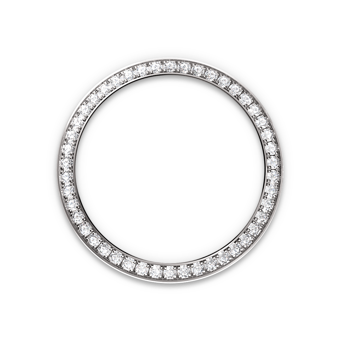 rolex Lady-Datejust in White Rolesor - combination of Oystersteel and white gold M279384RBR-0004* - Michaud