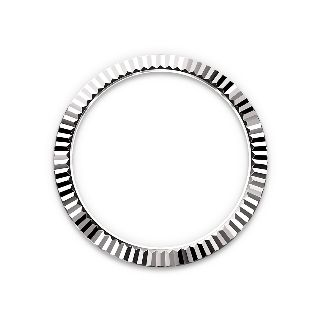 Sky-Dweller Watches