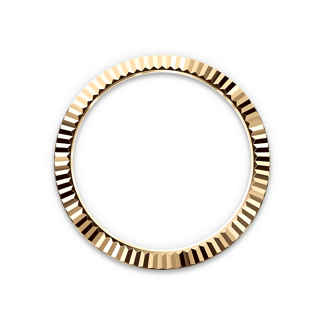 rolex Sky-Dweller in 18 ct yellow gold M336938-0002* - Michaud