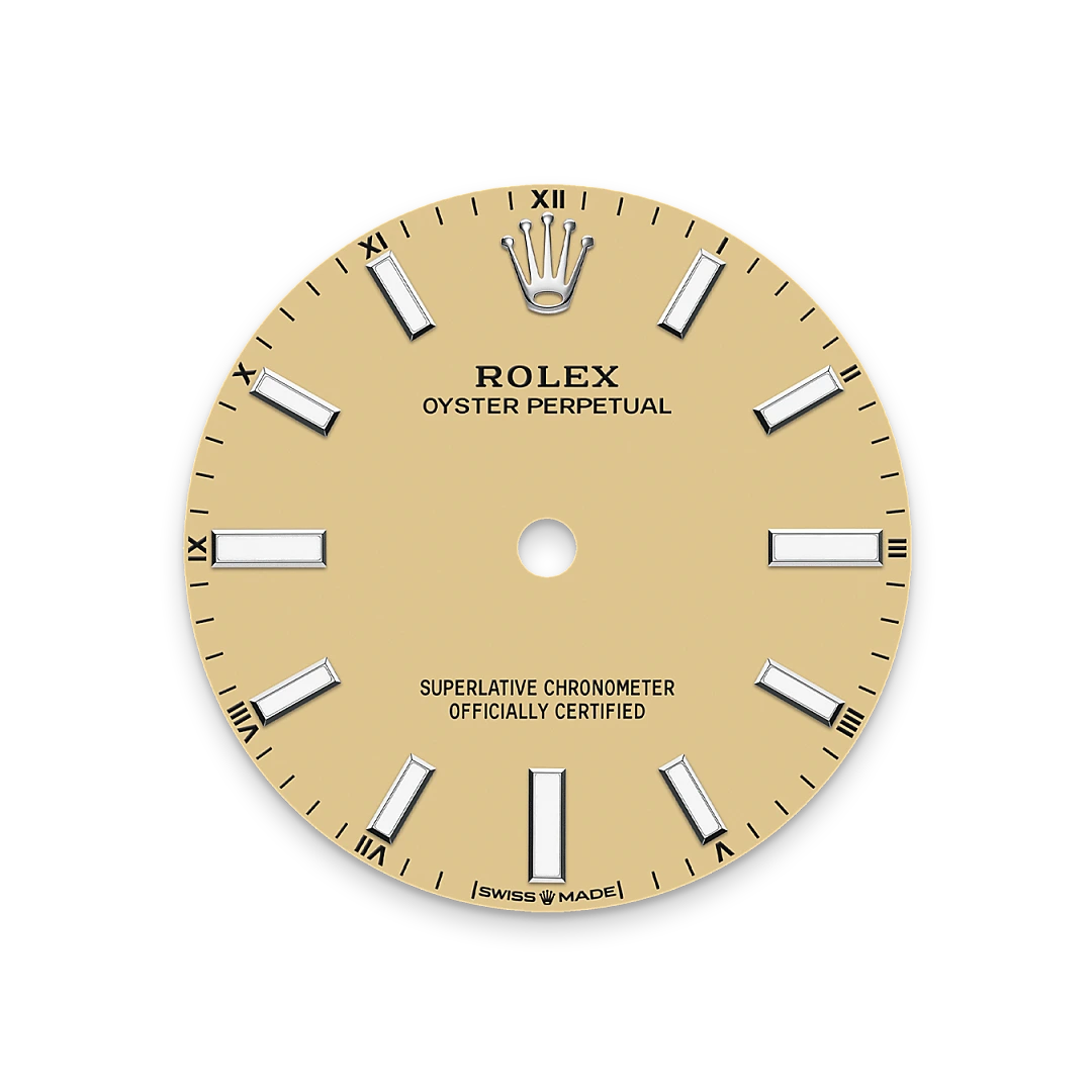 rolex Oyster Perpetual 34 in Acier Oystersteel M124200-0007* - Michaud