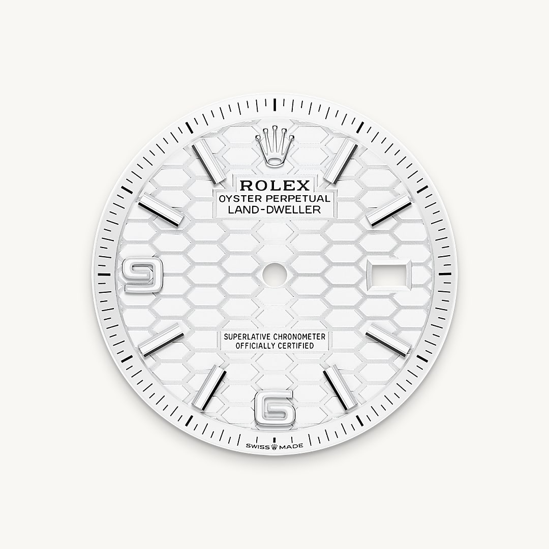 rolex Land-Dweller 36 in Rolesor gris – combinaison d’acier Oystersteel et d’or gris M127234-0001* - Michaud