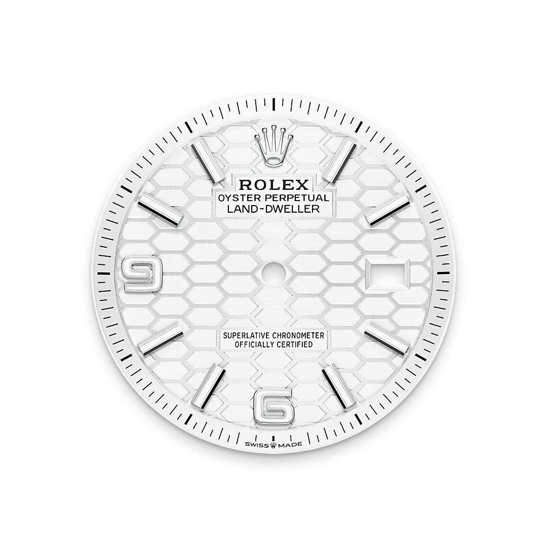 Land-Dweller 36 Watches