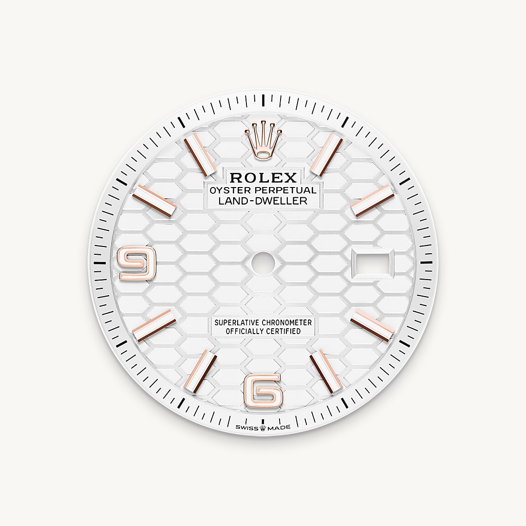 rolex Land-Dweller 36 in 18 ct Everose gold M127235-0001* - Michaud