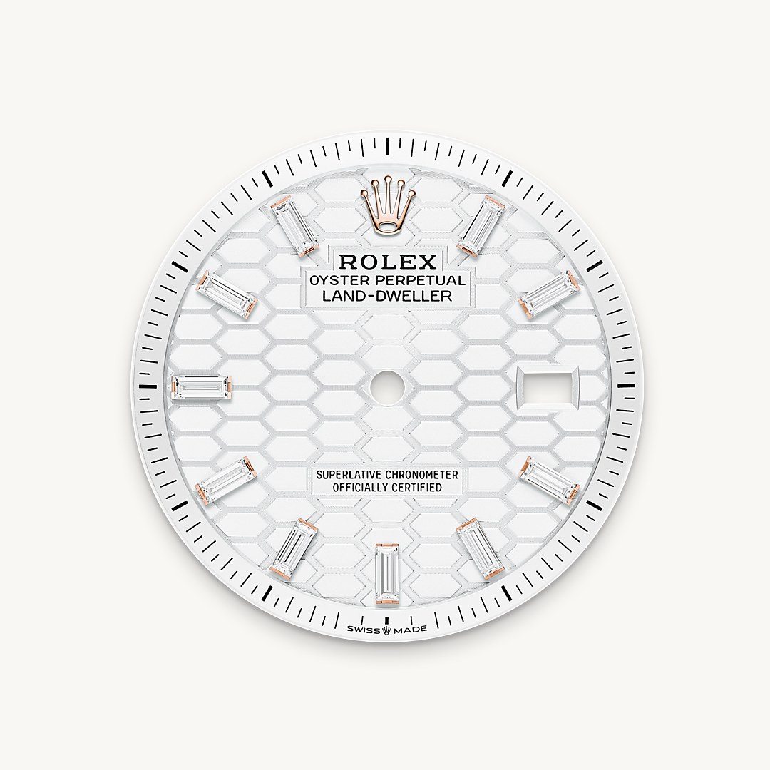 rolex Land-Dweller 36 in Or Everose 18 ct M127285TBR-0002* - Michaud