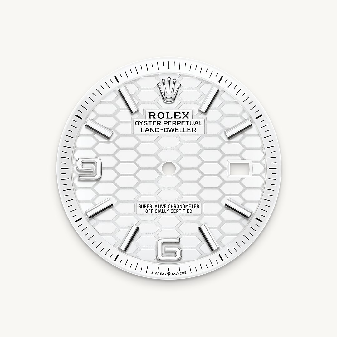 rolex Land-Dweller 40 in Rolesor gris – combinaison d’acier Oystersteel et d’or gris M127334-0001* - Michaud