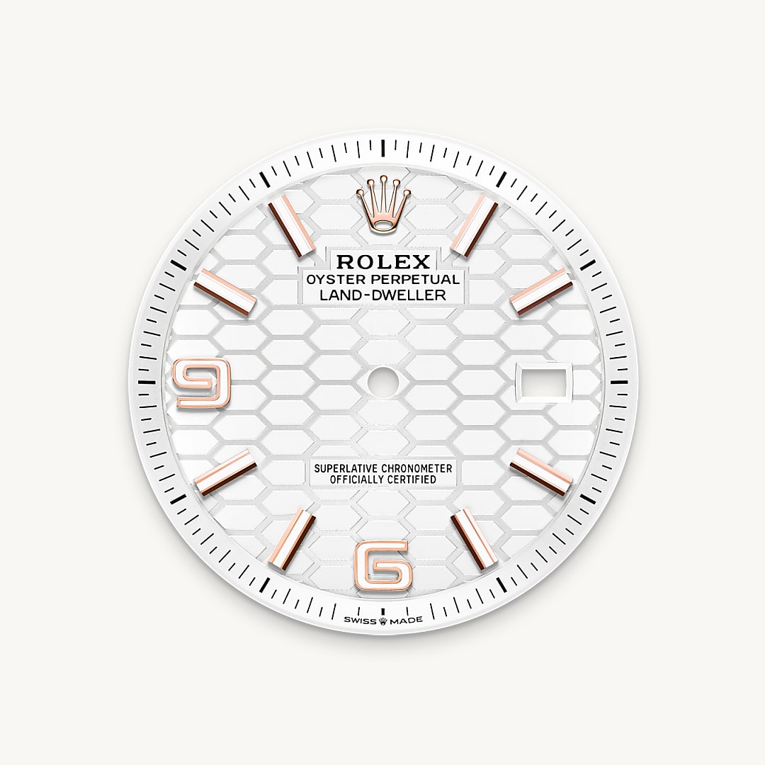 rolex Land-Dweller 40 in Or Everose 18 ct M127335-0001* - Michaud