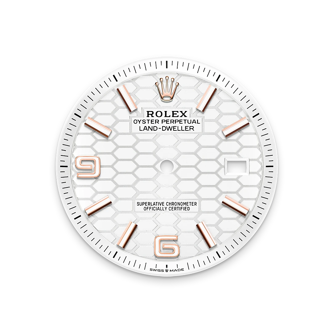 Land-Dweller 40 Watches