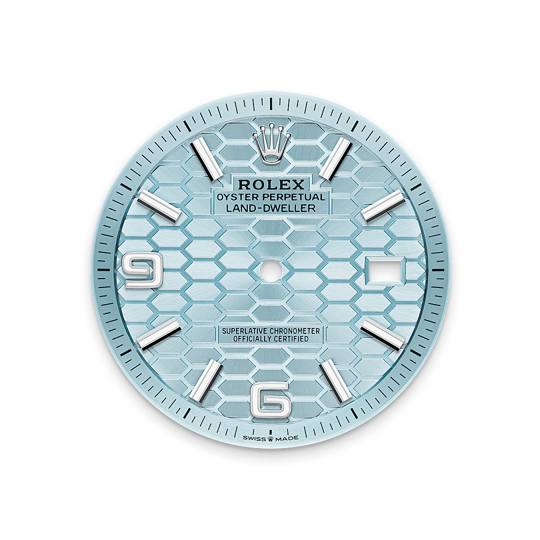 rolex Land-Dweller 40 in Platine M127336-0001* - Michaud