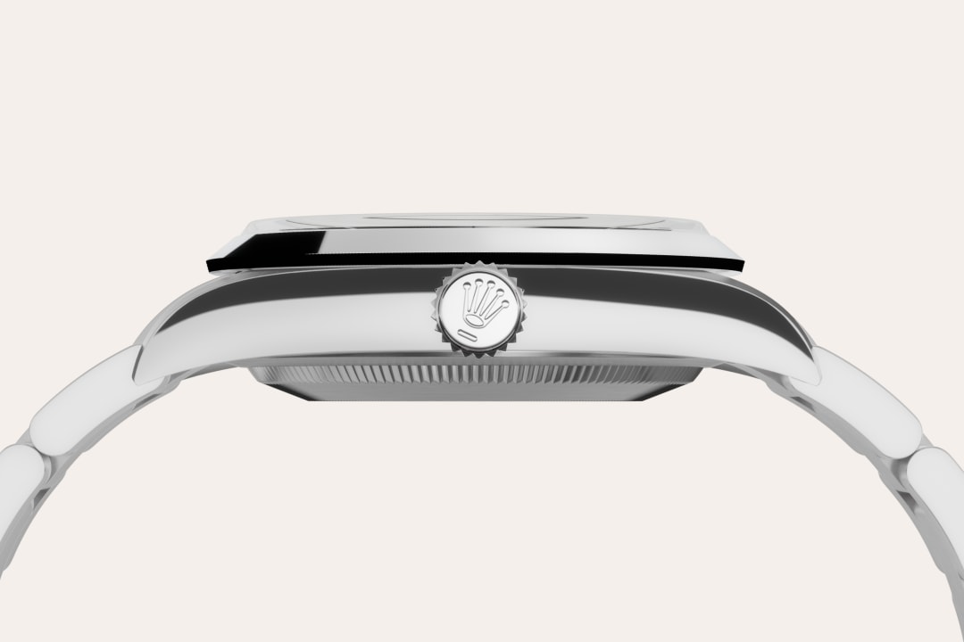 rolex Explorer 36 in Oystersteel M124270-0001* - Michaud