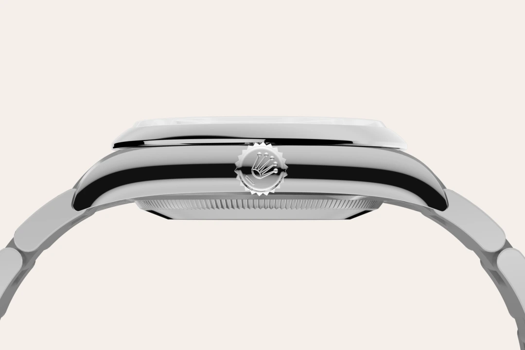 rolex Oyster Perpetual 36 in Oystersteel M126000-0006* - Michaud