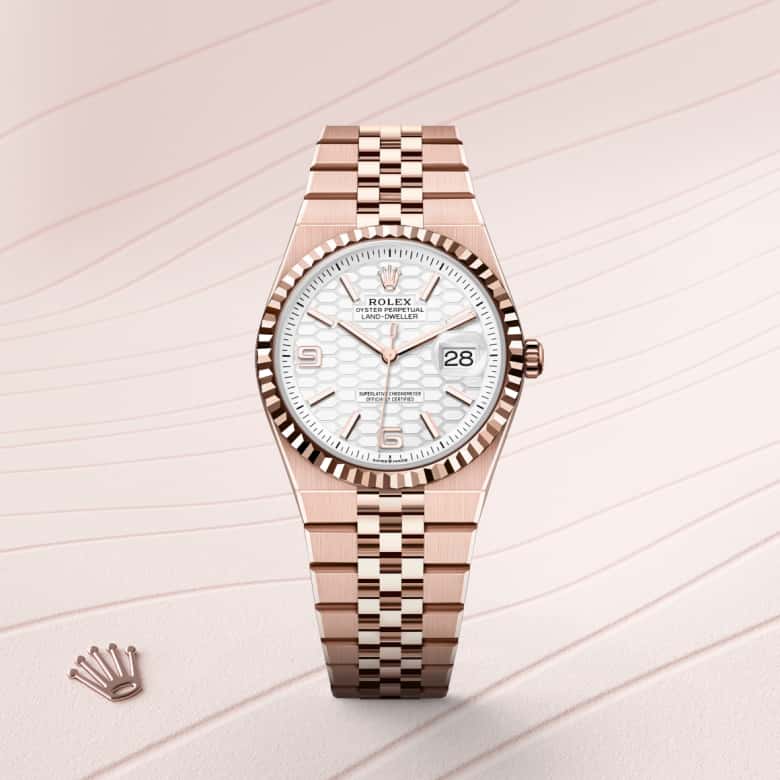 Rolex Land-Dweller 36 in 18 ct Everose gold M127235-0001* - Michaud