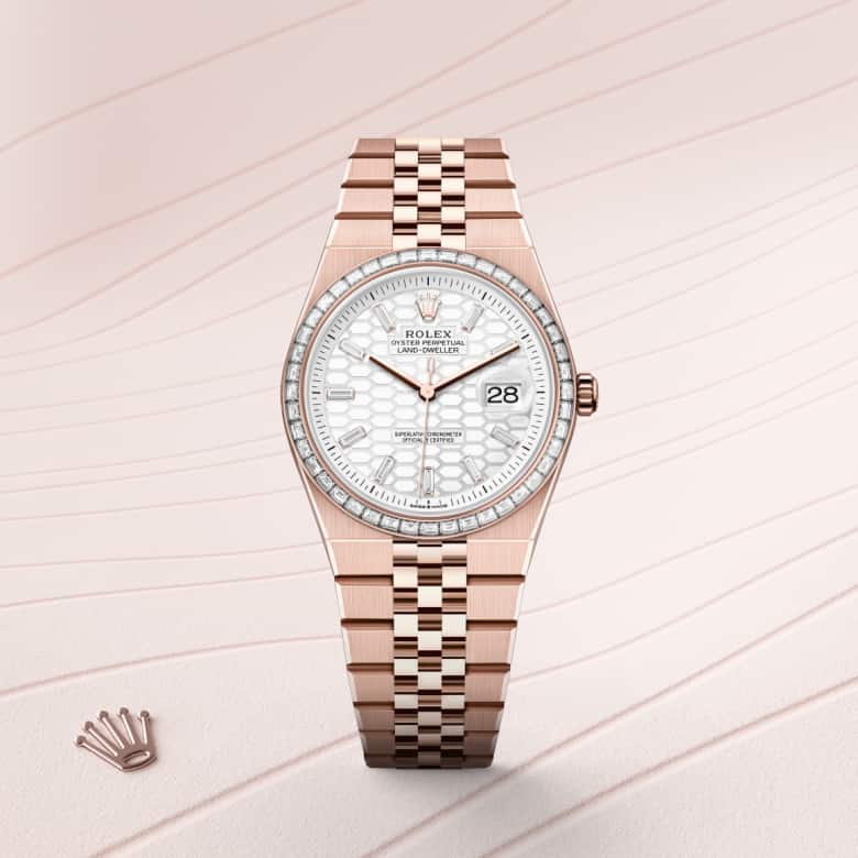 Rolex Land-Dweller 36 in Or Everose 18 ct M127285TBR-0002* - Michaud