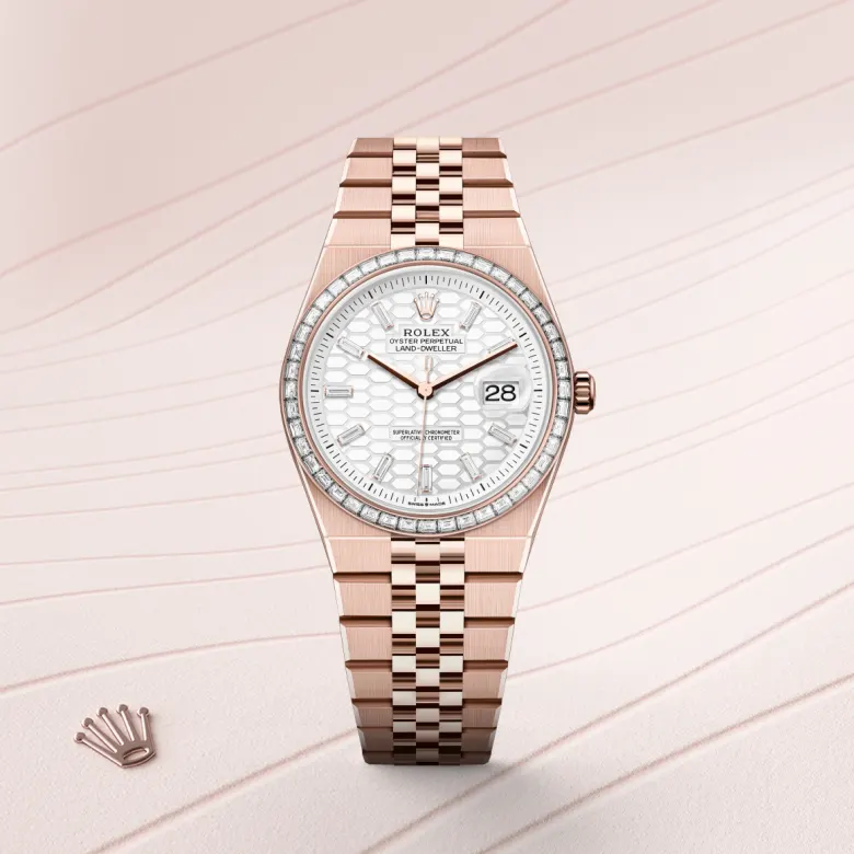 rolex Land-Dweller 36 in Or Everose 18 ct M127285TBR-0002* - Michaud