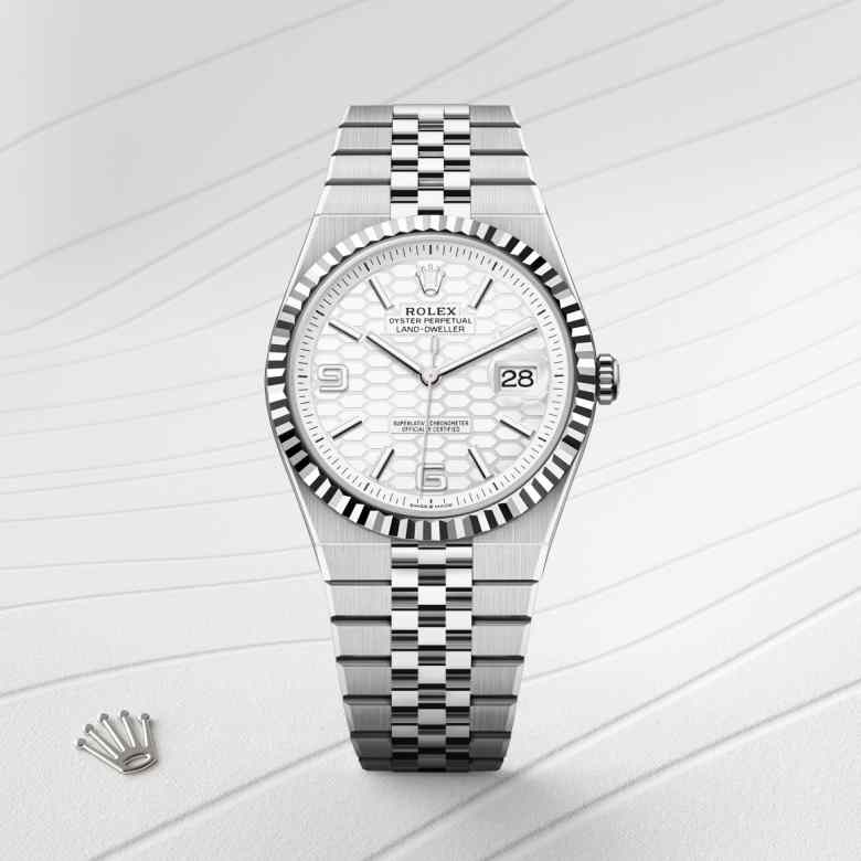 Rolex Land-Dweller 40 in Rolesor gris – combinaison d’acier Oystersteel et d’or gris M127334-0001* - Michaud