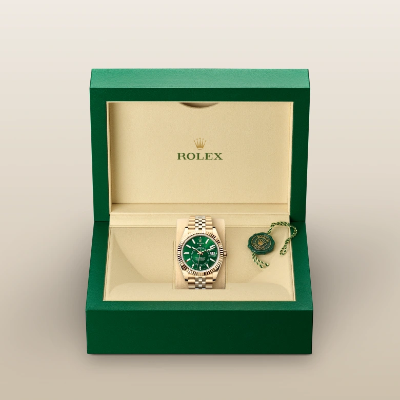rolex Sky-Dweller in Or jaune 18 ct M336938-0008* - Michaud