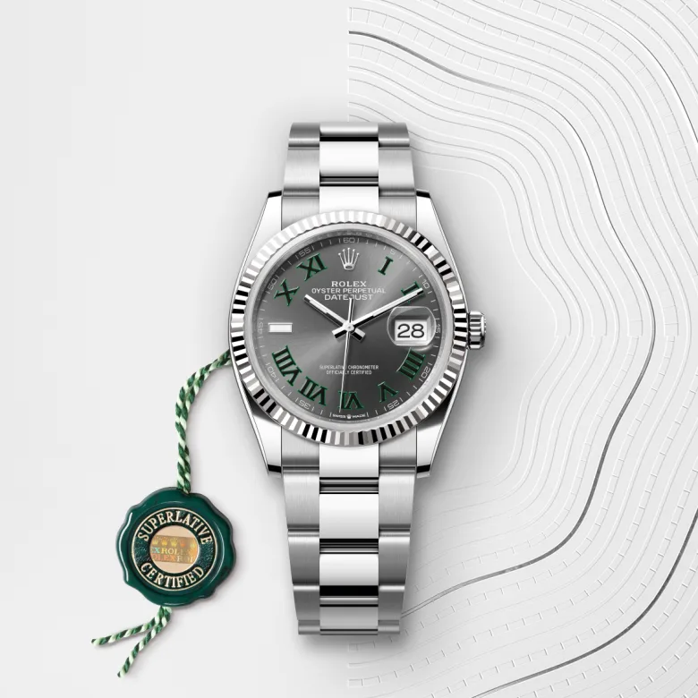 rolex Datejust 36 in White Rolesor - combination of Oystersteel and white gold M126234-0046* - Michaud