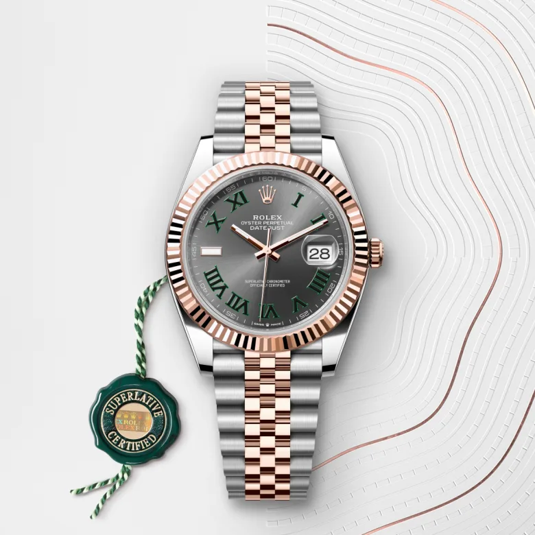 rolex Datejust 41 in Rolesor Everose – combinaison d’acier Oystersteel et d’or Everose M126331-0016* - Michaud