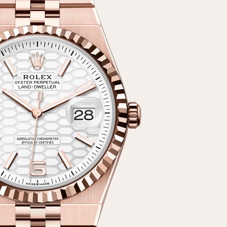 Rolex Land-Dweller 36 in 18 ct Everose gold M127235-0001* - Michaud