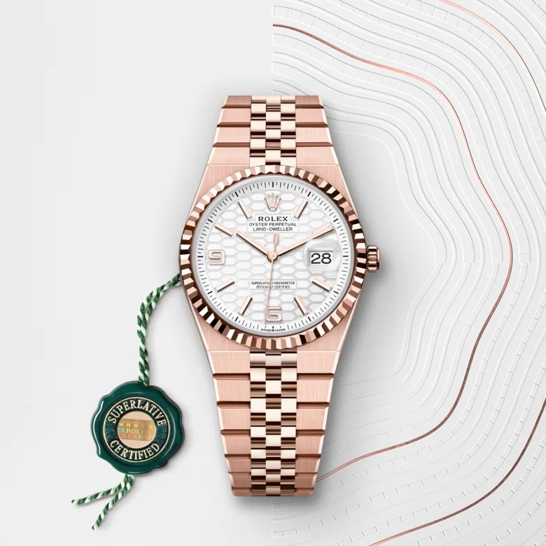rolex Land-Dweller 36 in Or Everose 18 ct M127235-0001* - Michaud