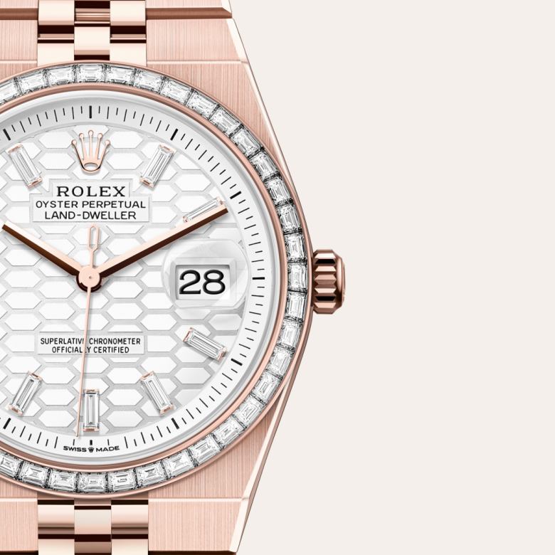Rolex Land-Dweller 36 in Or Everose 18 ct M127285TBR-0002* - Michaud