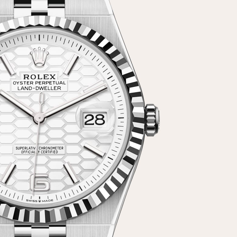 Rolex Land-Dweller 40 in Rolesor gris – combinaison d’acier Oystersteel et d’or gris M127334-0001* - Michaud