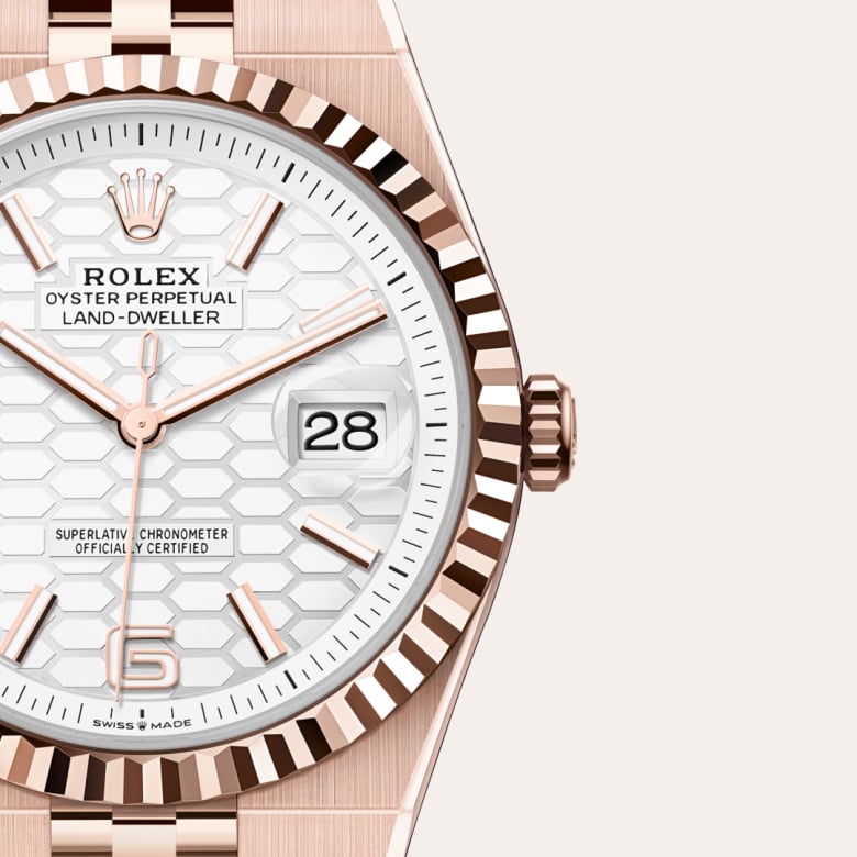 Rolex Land-Dweller 40 in Or Everose 18 ct M127335-0001* - Michaud