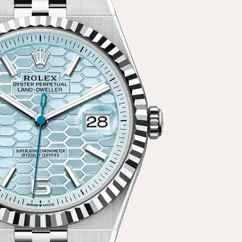 Rolex Land-Dweller 40 in Platine M127336-0001* - Michaud