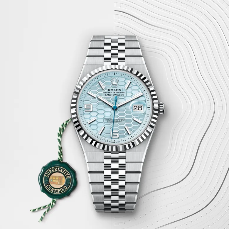 rolex Land-Dweller 40 in Platine M127336-0001* - Michaud