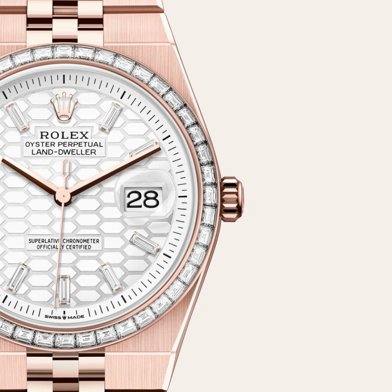 rolex Land-Dweller 36 in Or Everose 18 ct M127285TBR-0002* - Michaud