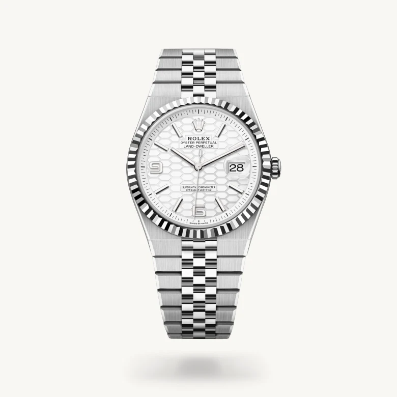 rolex Land-Dweller 40 in White Rolesor - combination of Oystersteel and white gold M127334-0001* - Michaud